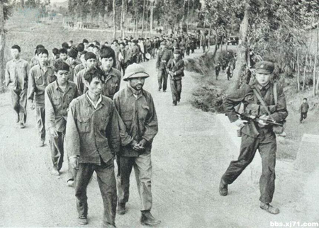Chiến tranh Cộng Cộng năm 1979: Lính Mít Cộng bị lính Tẫu Cộng bắt làm tù binh.